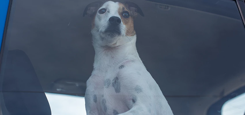 Car Lockout Solutions in Menifee, California